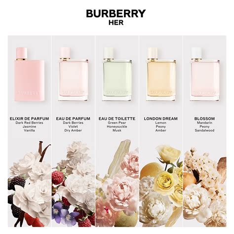 spray burberry her perfume|burberry her perfume for women.